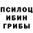 Галлюциногенные грибы мицелий Valeria I