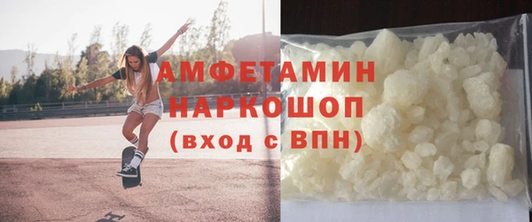 индика Алексин