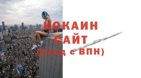 индика Алексин