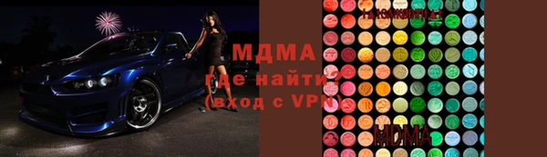индика Алексин