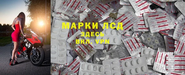 индика Алексин