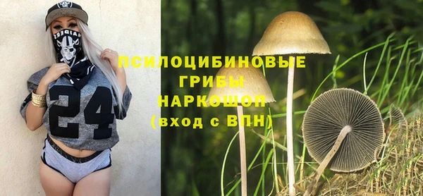 сатива Алексеевка