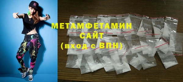 индика Алексин