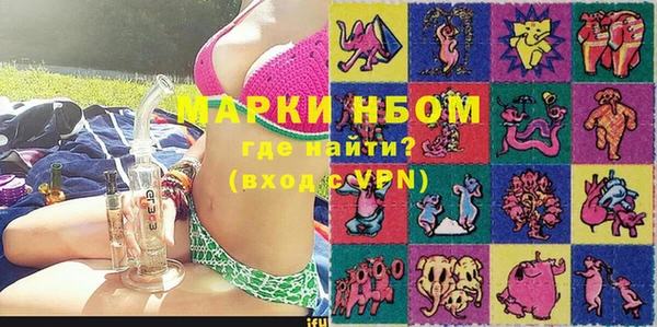 индика Алексин