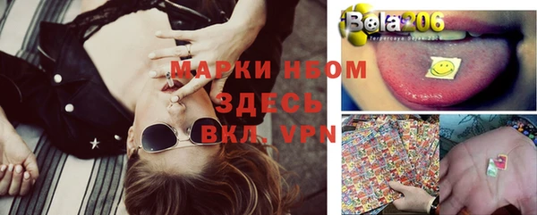 сатива Алексеевка