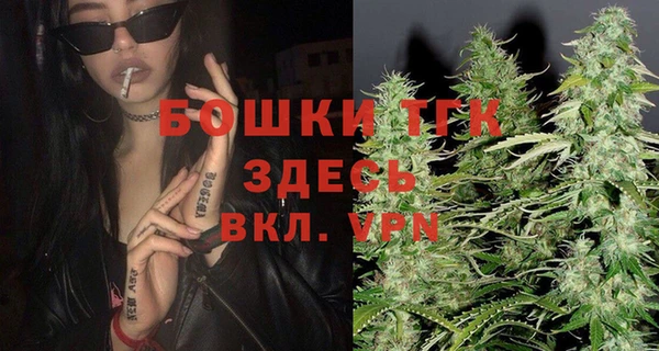 индика Алексин