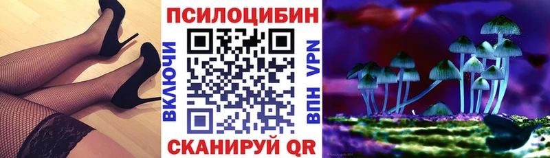 где купить наркоту  Кемь  MEGA зеркало  Псилоцибиновые грибы прущие грибы 